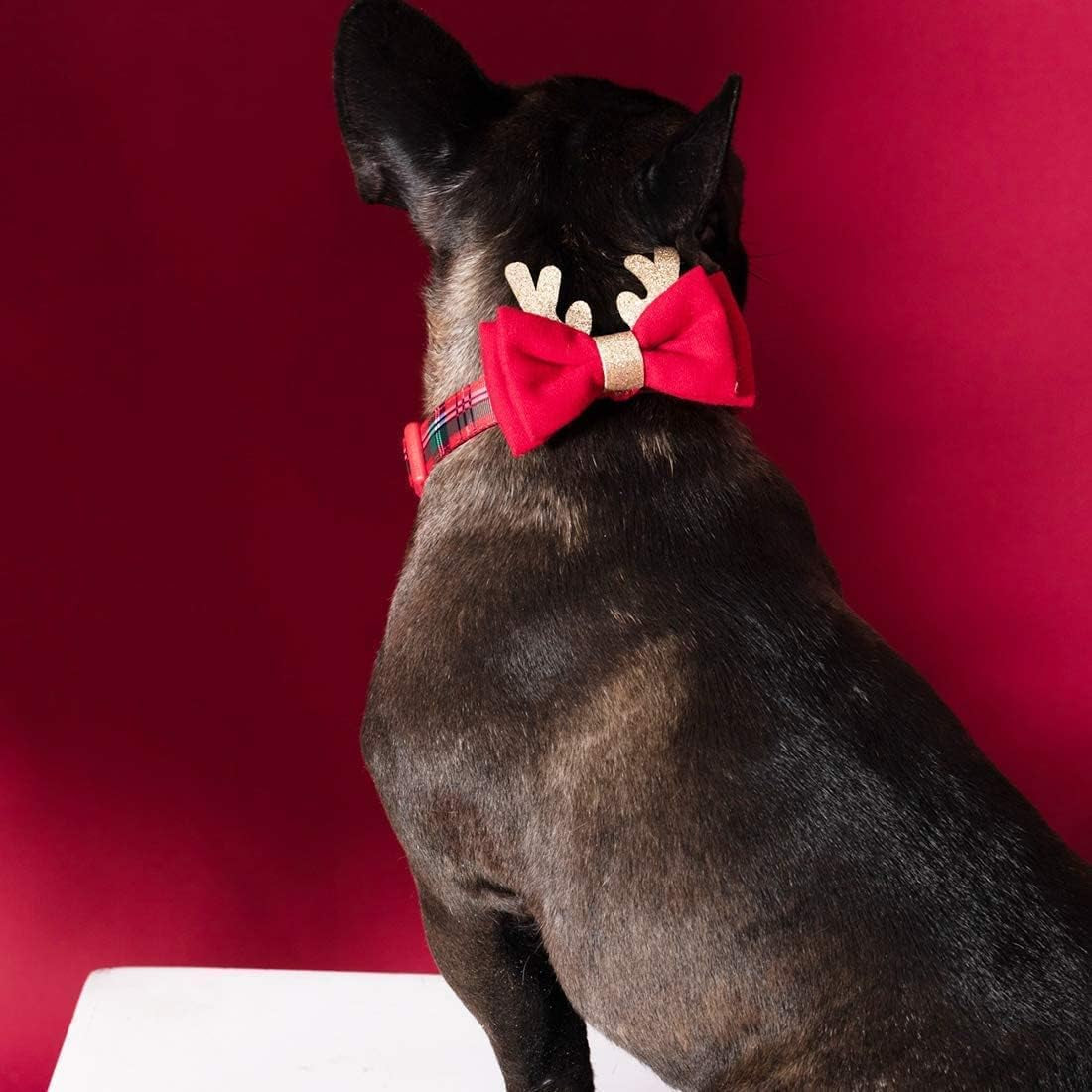 Christmas Dog Collar, Classic Design Plaid Dog Collar with Bowtie and Cute Glitter Reindeer Ear, Soft & Comfy Dog Collars, Gifts for Medium Dogs