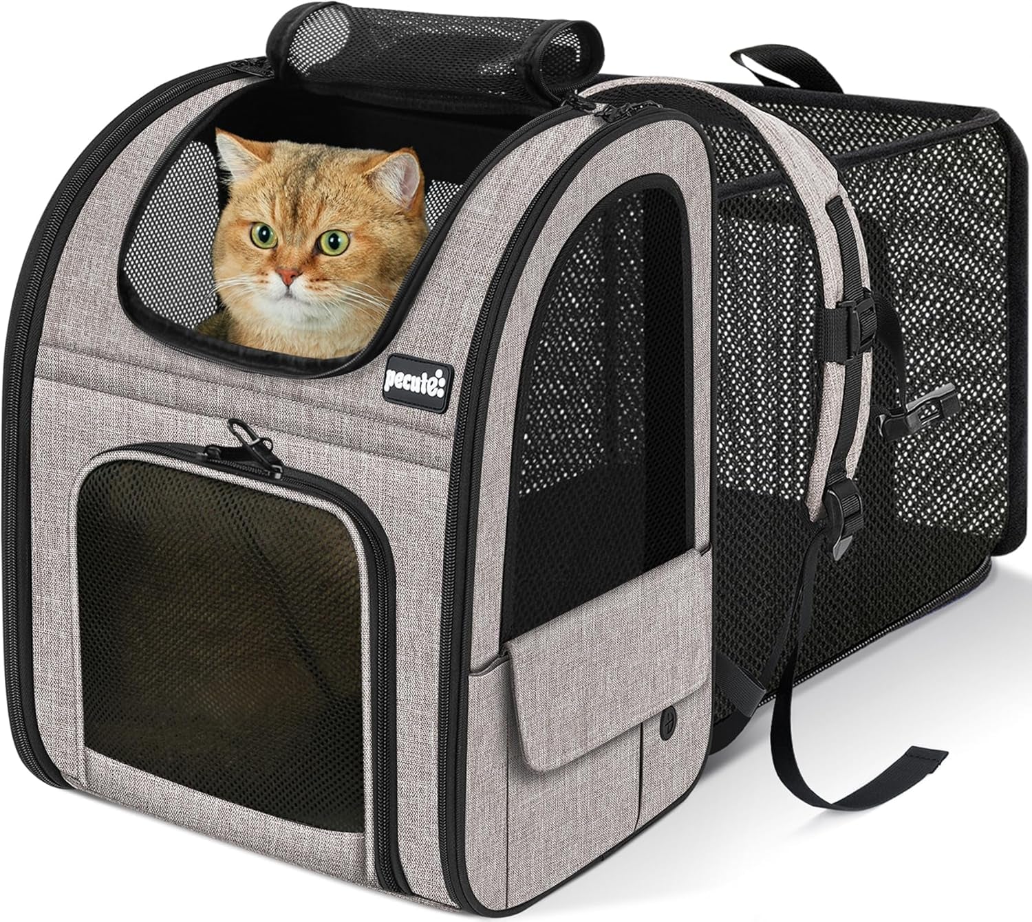 Cat Backpack Carrier Expandable, Pet Backpack for Cats & Small Dogs up to 11Lbs, with 4-Side Breathable Mesh, Multi-Entry & Lockable Zippers for Travel, Hiking, Camping - Hands Free, Blue
