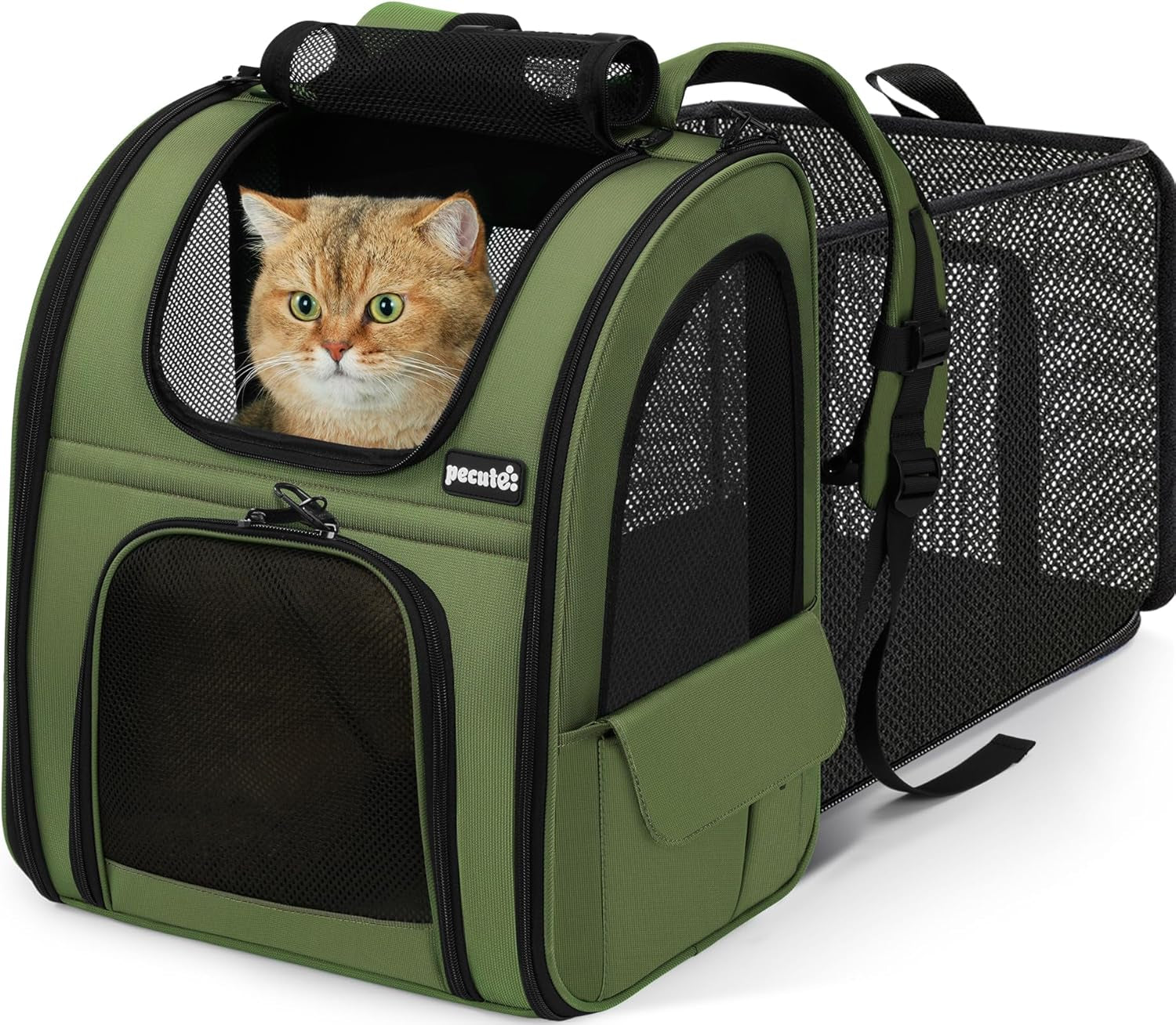 Cat Backpack Carrier Expandable, Pet Backpack for Cats & Small Dogs up to 11Lbs, with 4-Side Breathable Mesh, Multi-Entry & Lockable Zippers for Travel, Hiking, Camping - Hands Free, Blue